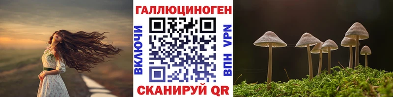 Псилоцибиновые грибы прущие грибы  Купить где  Апатиты 